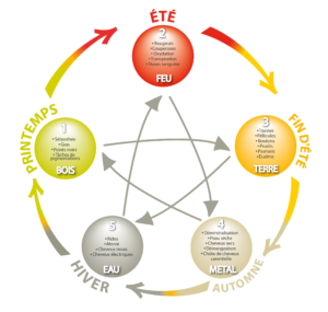 Les 5 éléments